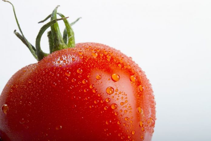 la tomate peut se manger crue comme cuite