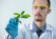 Connaître les bienfaits de la phytothérapie bienfaits phytothérapie