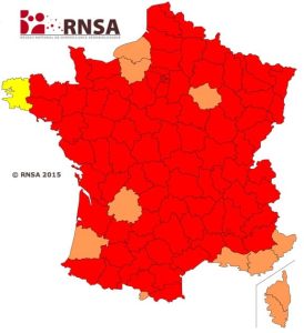 Allergie: alerte maximum aux pollens de graminées