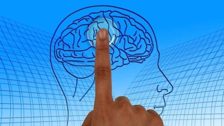 Les mystères du cerveau bientôt décryptés