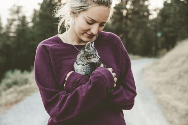 les symptômes qui indiquent qu’un chat est malade sont à surveiller
