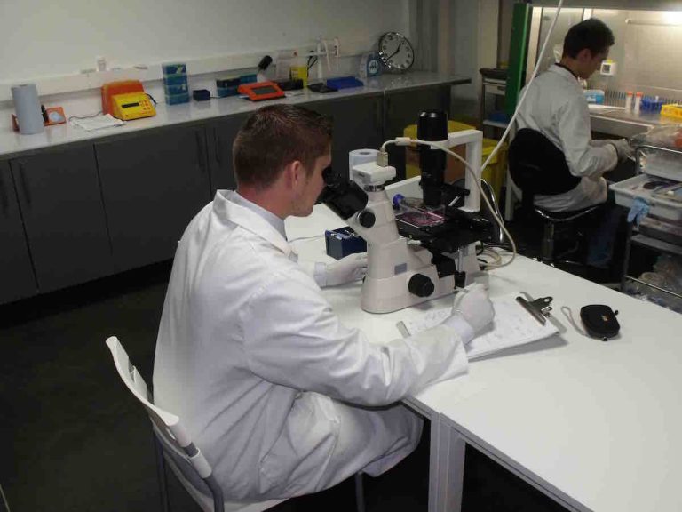 Les chercheurs de CTI-Biotech excellent dans la culture cellulaire