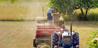 les pesticides accusés de nuire à l’agriculture, à l’environnement et à notre santé