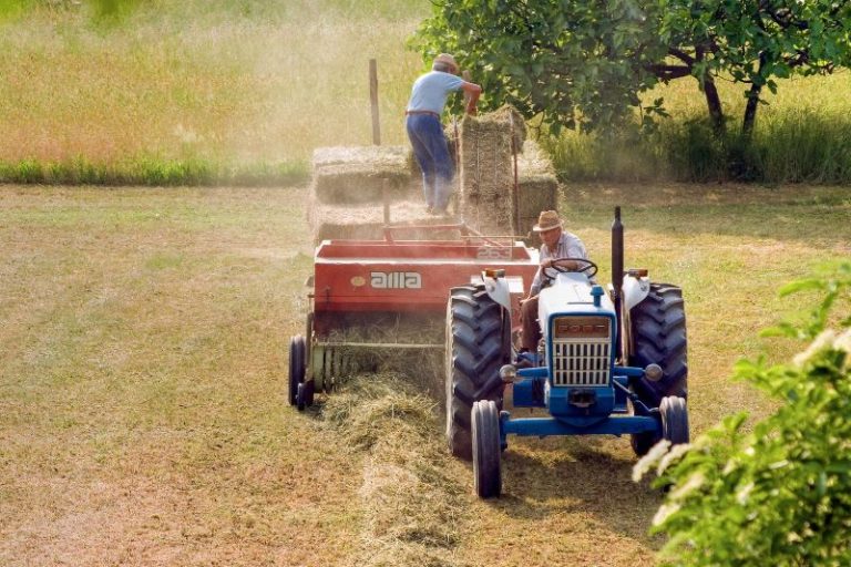 les pesticides accusés de nuire à l’agriculture, à l’environnement et à notre santé