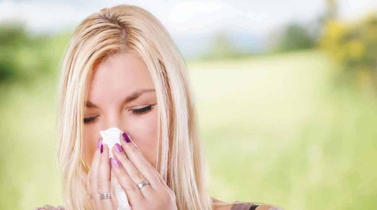 Les allergiques à l'ambroisie vont vivre des jours difficiles...