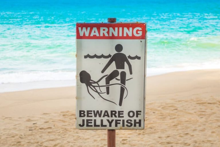 Un avertissement contre les méduses sur une plage.