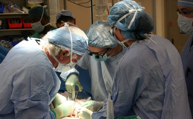 Du prélèvement à la transplantation, les équipes chirurgicales ont un délai très court pour agir.©DR