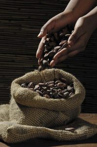 les bienfaits du chocolat