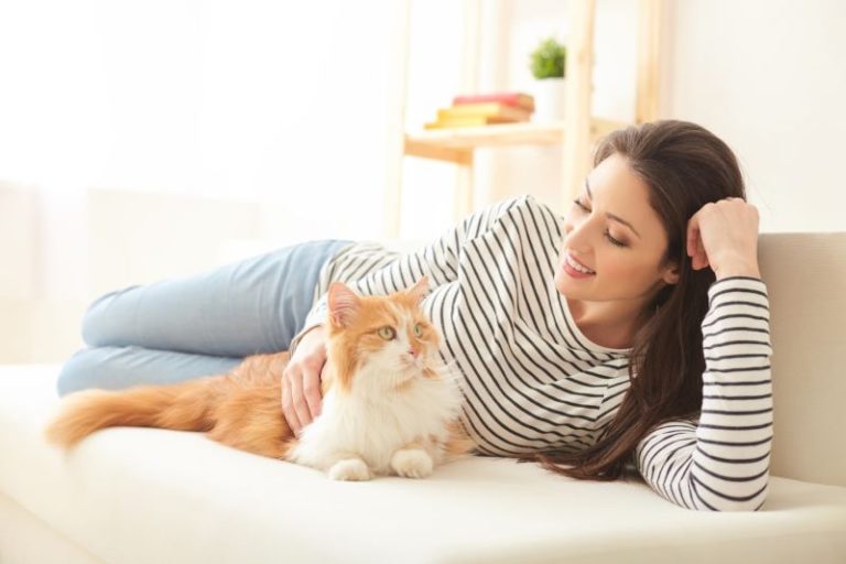 le ronron d’un chat a des vertus insoupçonnées