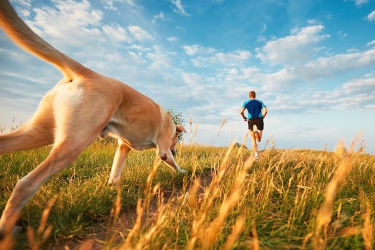 courir avec son chien
