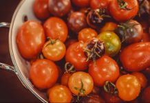 tomates bio local