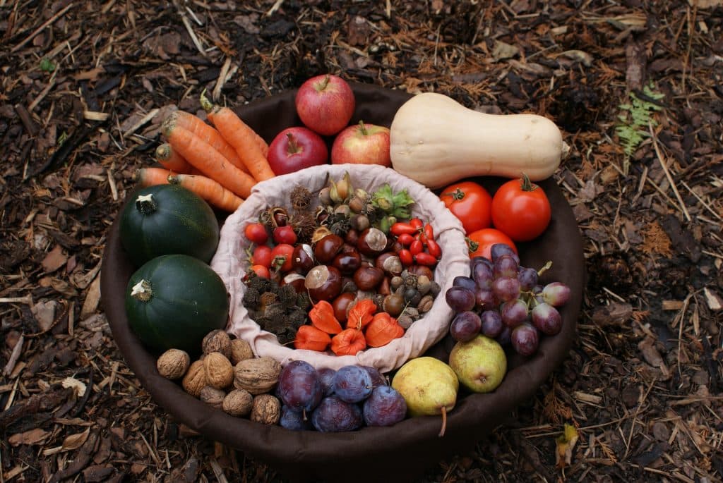 Image d'illustration : fruits et légumes d'automne