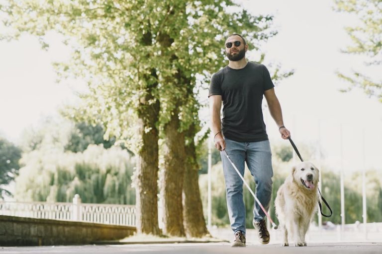 Une étude pour mesurer l'impact du handicap chez les malvoyants.
