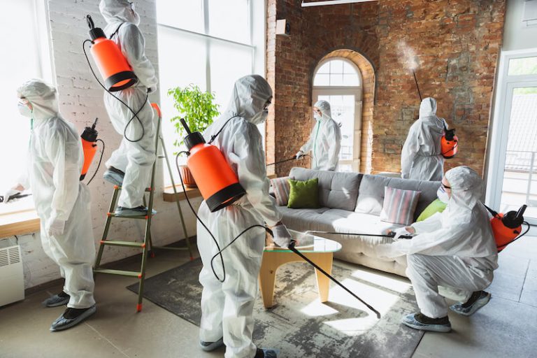 L'air intérieur est souvent plus pollué que celui de l'extérieur.