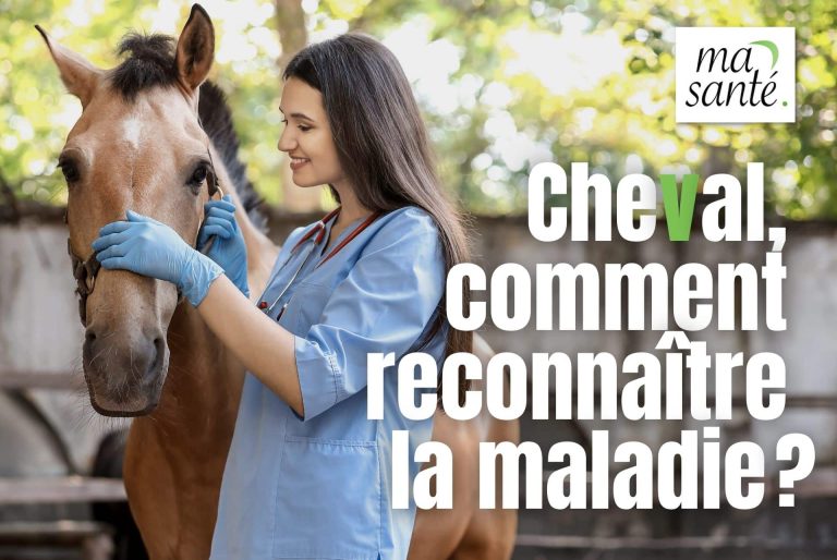 cheval malade