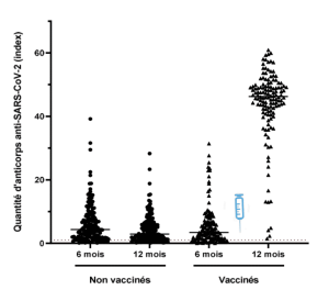 vaccin covid-19 anticorps