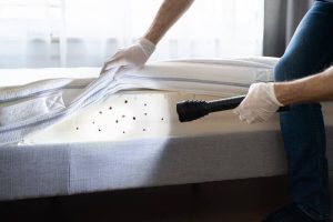 Comment identifier la présence de punaises de lit ?