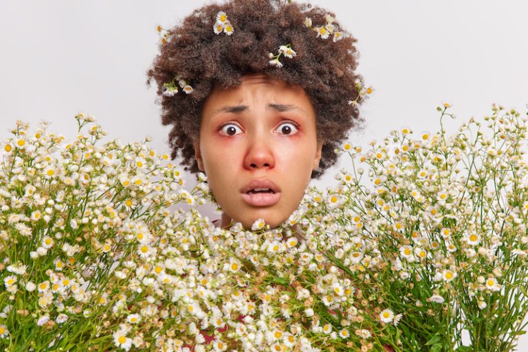 allergies pollen bouleau