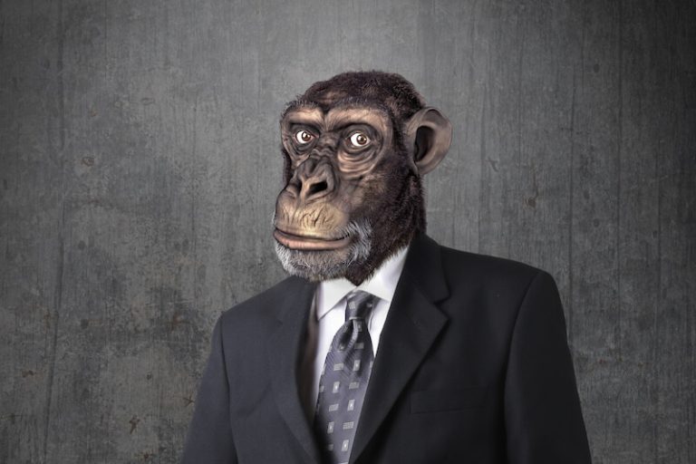 Le concept one health fait particulièrement parler de lui depuis l'apparition des cas de variole du singe.