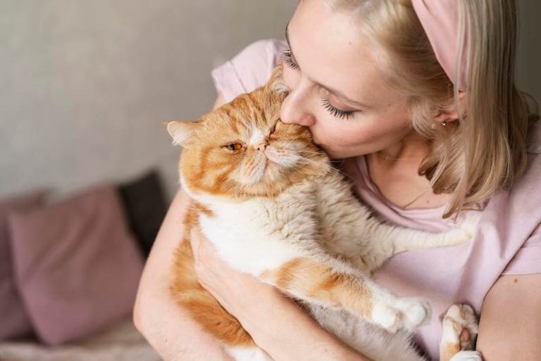 Tout comme nous, les chats peuvent développer des cancers et sont soumis aux mêmes facteurs environnementaux favorisants.