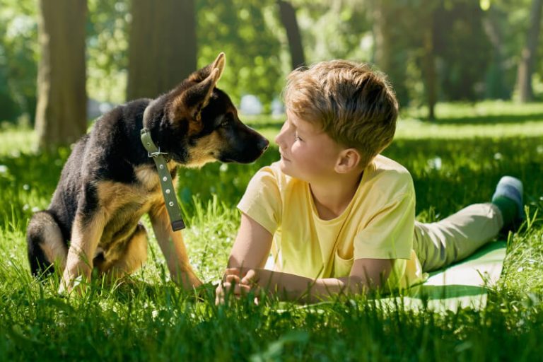 L chien, comme tous les animaux, souffre aussi de la chaleur !