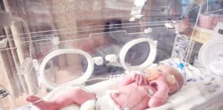 Un bébé prématuré dans une couveuse à l'hôpital.