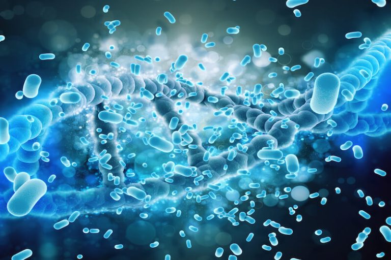 maladies-auto immunes bactéries microbes adn corps humain