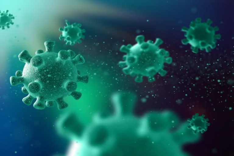 microbiote utile pour notre santé