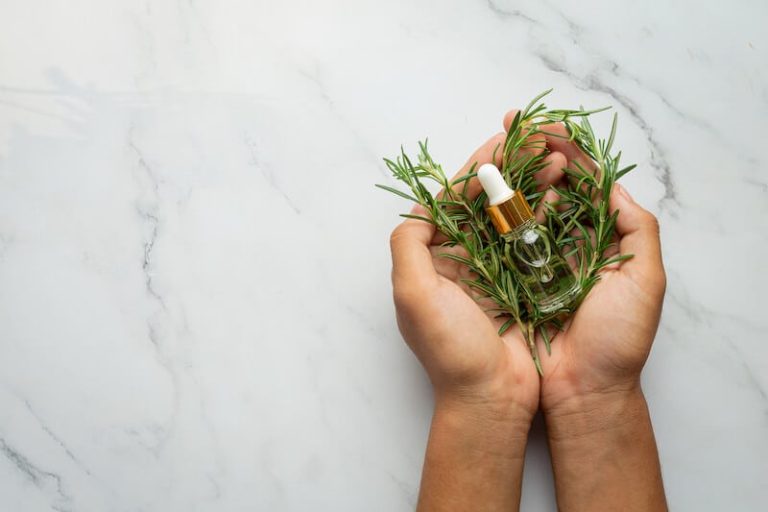 En naturopathie, les plantes peuvent être utilisées pour prendre soin de son organisme.