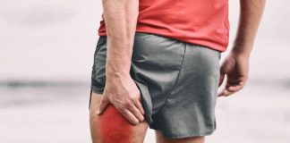 Les ischio-jambiers sont essentiels pour la flexion du genou et la propulsion .