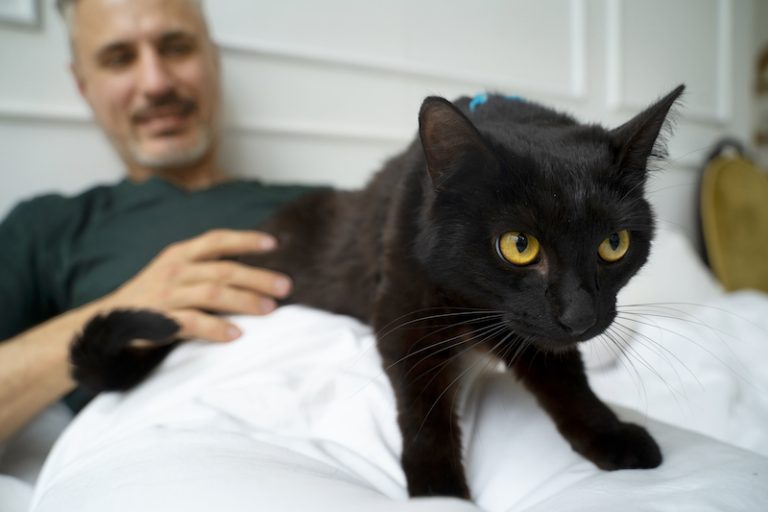Ce chat souffre de constipation.