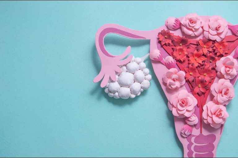 Anatomie du vagin et des ovaires réalisée avec des fleurs pour montrer où se développe le SOPK.