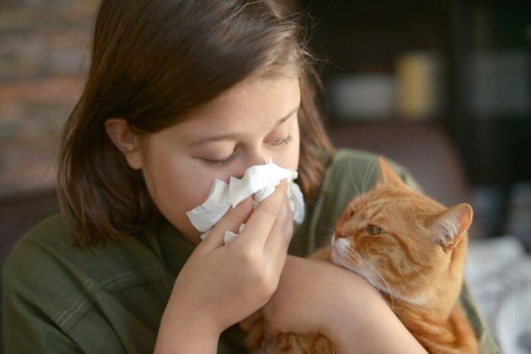une femme qui se mouche en tenant son chat dans les bras