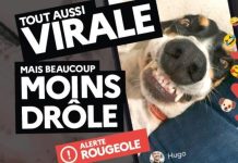 Le visuel de la campagne de sensibilisation vaccinale contre la rougeole, réalisé par l'Agence régionale de la santé d'Auvergne-Rhône-Alpes, présente le slogan accompagné d'un smartphone diffusant une vidéo virale mettant en scène un chien.