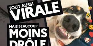 Le visuel de la campagne de sensibilisation vaccinale contre la rougeole, réalisé par l'Agence régionale de la santé d'Auvergne-Rhône-Alpes, présente le slogan accompagné d'un smartphone diffusant une vidéo virale mettant en scène un chien.