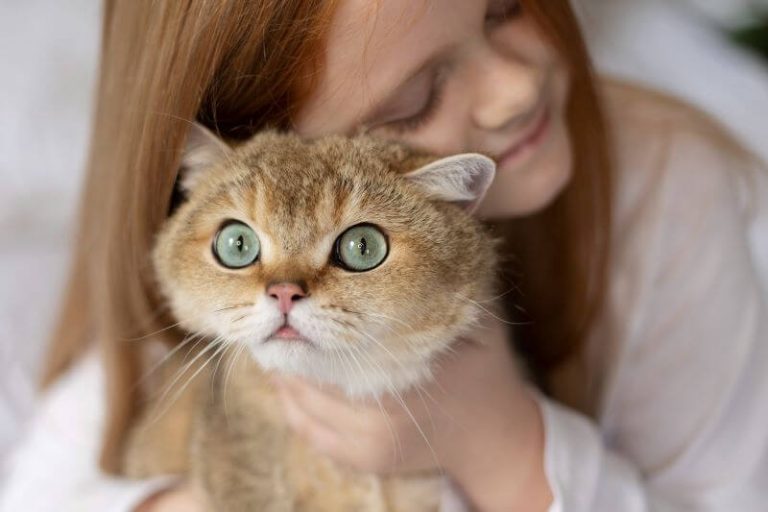 Un chat dans les bras de sa maîtresse.