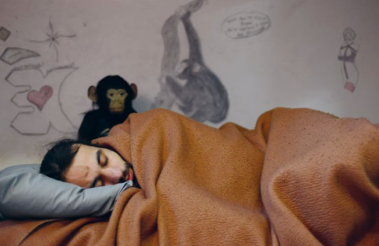 un homme qui dort avec un singe qui l'observe