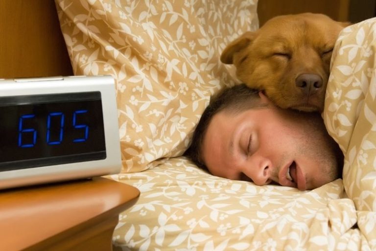 Un homme est endormi dans son lit avec son chien.