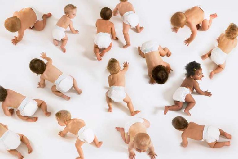 Des bébés à quattres pattes représentant la diversité.