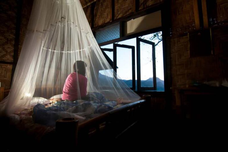 Une femme assise dans son lit, sous une moustiquaire, tentant de se protéger des maladies infectieuses transmises par les moustiques.
