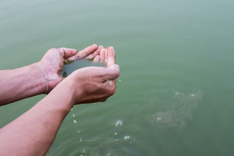 Le choléra se transmet principalement par l'ingestion d'eau souillée.