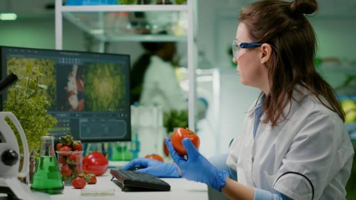 Une scientifique en train d'analyser une tomate dans son laboratoire pour mettre en lien l'alimentation et les gènes.