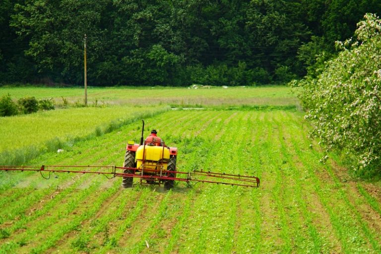 Un champ d'agriculteurs qui va bientôt réintégrer les pesticides.