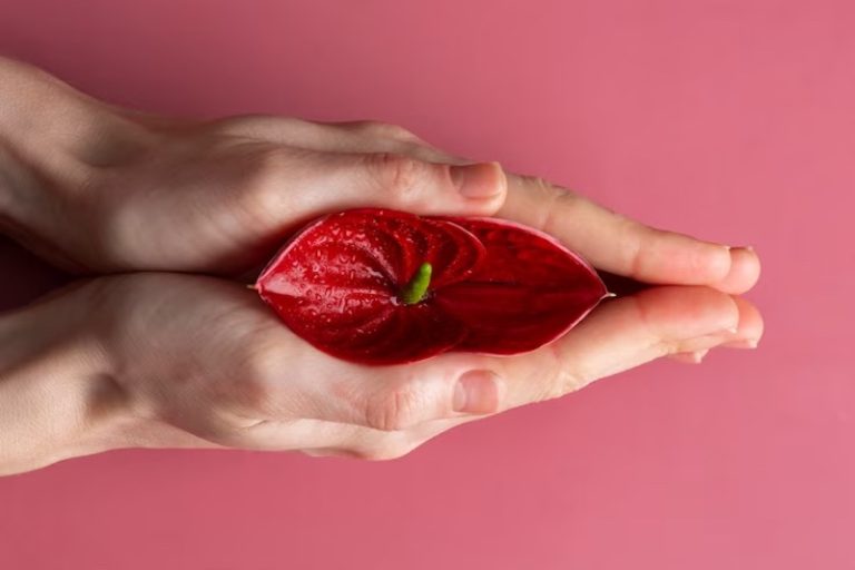 Mains tenant une fleur, représentant le concept de système reproducteur féminin. ©Freepik