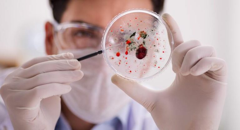 Les arboviroses sont des maladies tropicales transmises par les insectes.