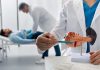 Un médecin qui montre les dégâts de l'alcool sur le pancréas.