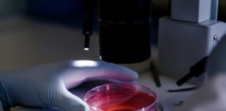 Hausse de la diphtérie en Europe : c’est quoi cette maladie qui refait surface ? Un chercheur qui étudie la bactérie responsable de la diphtérie.