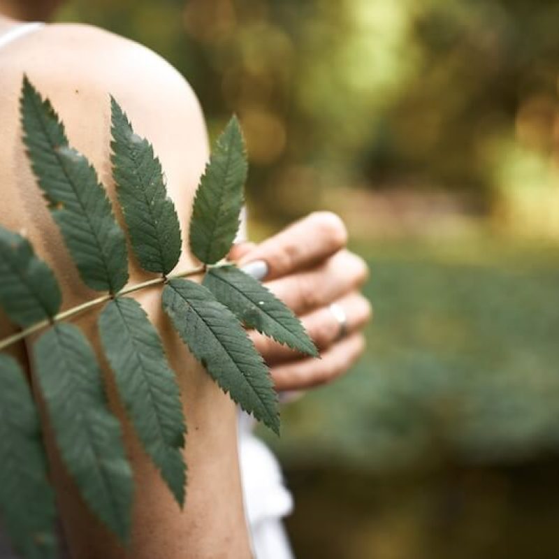 CBD et cystite interstitielle : une solution naturelle pour soulager les  douleurs ?