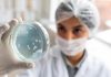 Des chercheurs en train d'étudier le microbiote face aux bactéries pathogènes.