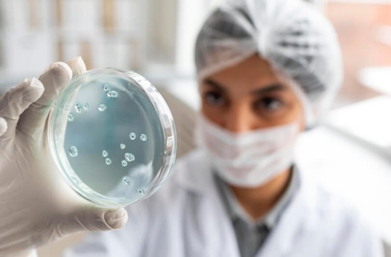 Des chercheurs en train d'étudier le microbiote face aux bactéries pathogènes.